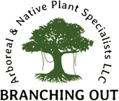 Branching Out Arboreal & Native Plant Specialists