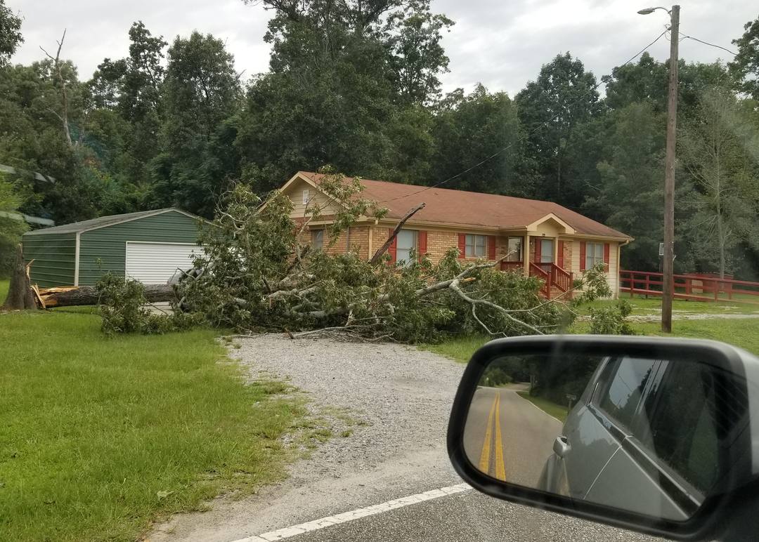 A tree brought down across a property after a storm